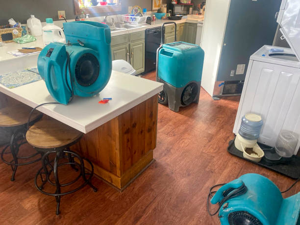 Best Water damage restoration insurance claims  in Park City, IL