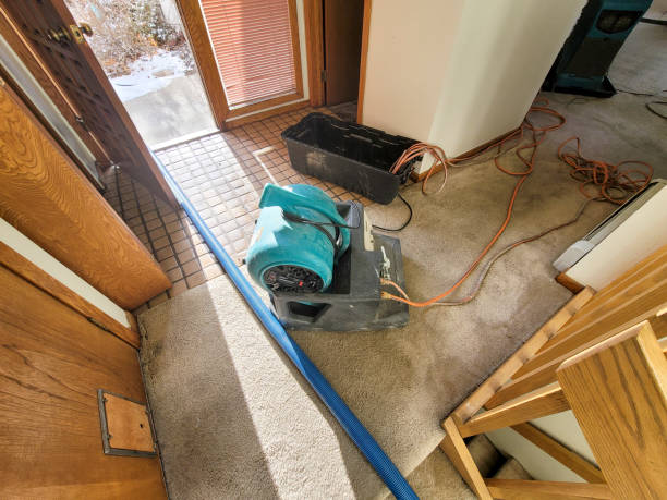 Best Carpet water damage restoration  in Park City, IL