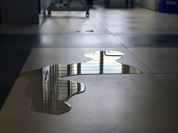 Best Water damage restoration near me  in Park City, IL