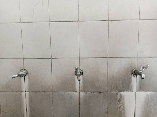 Best Mold removal after water damage  in Park City, IL