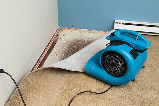 Reliable Park City, IL Water damage restoration Solutions
